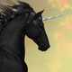 iStock